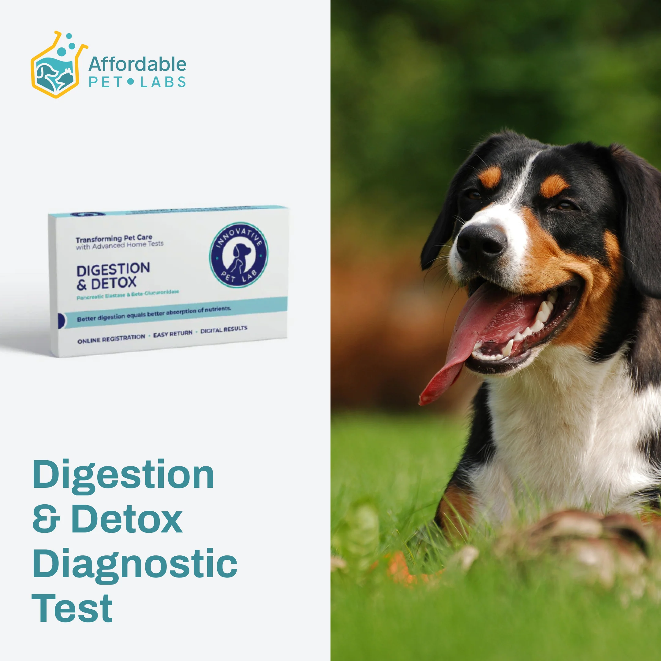 Digestive issues (such as diarrhea, parasites, loose stools, and indigestion)